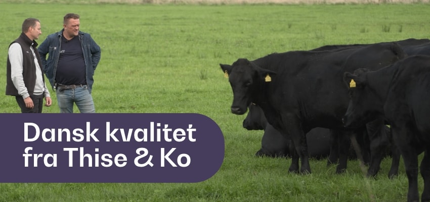 Dansk kvalitet fra Thise & Ko