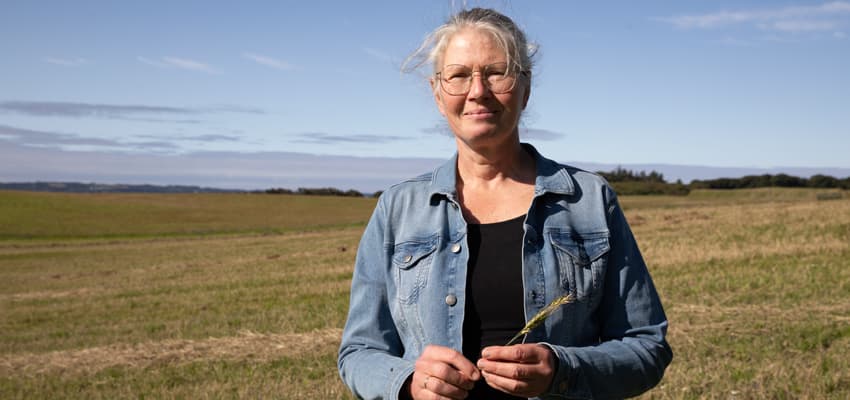 Brød med en større fortælling