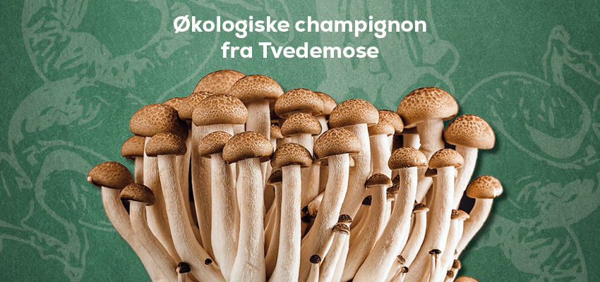 Endnu mere dansk økologi i din webshop
