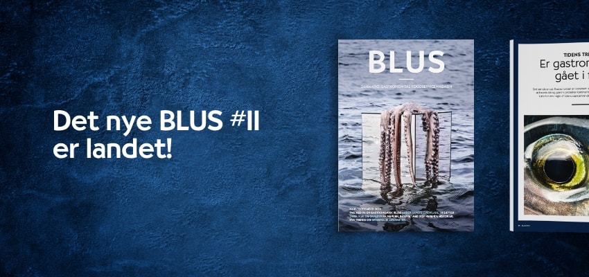 BLUS 11 er på gaden