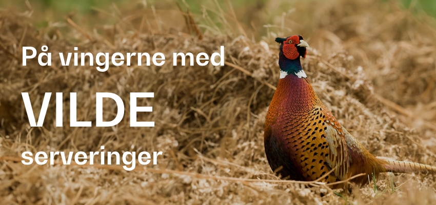 På vingerne med vilde serveringer